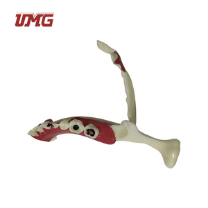 Modello di decomposizione dentale organizzazione modello di mandibola Od - Product Image 4