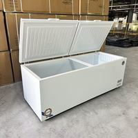 Congélateur horizontal commercial grande capacité avec refroidissement direct, en acier inoxydable, contrôle intelligent de la température