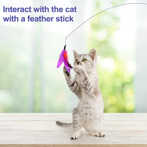 Jouet pour chat à livraison rapide : Baguette à ressort en bois CFA avec plume et clochette, tête de remplacement amovible, durable, pour gratter et stimuler votre chat - Product Image 5