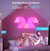 Panneau mural rvb quantique intelligent triangulaire nuit jeu lumière LED App télécommande bouton minuterie fonction lumière corps