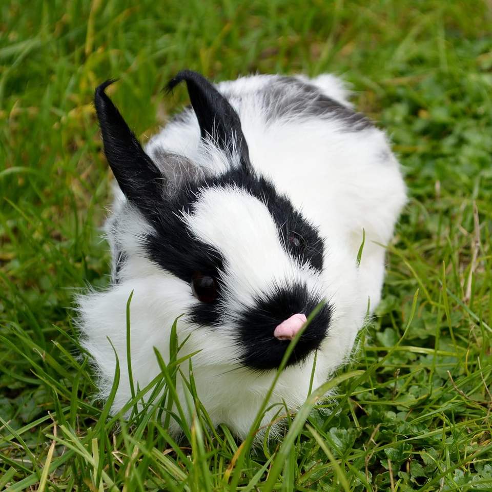 Realistic Furry Rabbit Realistic Furry White Rabbit Statue Simulation Farm Animal Model Home ...