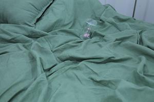 Modern American Style Cinnamon 100% Cotton Duvet Cover Set 200TC Queen Size with 2 <b>Pillow</b> Shams All-Season Bedding - Product Image 3