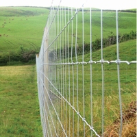 Clôture de ferme robuste galvanisée pour bétail, cerfs, chevaux et gibier – Clôture de champ