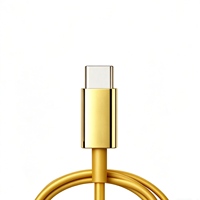 Écouteurs filaires Chrome Type C en métal argenté, intra-auriculaires, plaqués argent