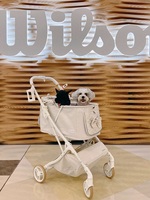 Offre Spéciale Avion Voyage Portable Pliable 4 Roues Fer Pet Poussette Chien Chat Lapin Chariot pour Shopping Marche Jogging Bateau