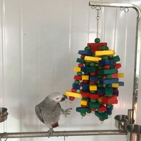 Jouets à mâcher pour perroquets en bois naturel écologique, style dessin animé, jouet coloré pour animaux de compagnie, pour une utilisation en intérieur/extérieur