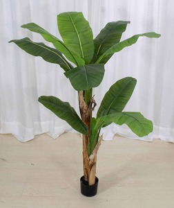 Plante artificielle <span class=keywords><strong>Musa</strong></span> Basjoo de haute qualité en pot, effet réaliste, faux arbre <span class=keywords><strong>Musa</strong></span> Basjoo en pot pour la décoration de la maison, du magasin ou du bureau - Product Image 4