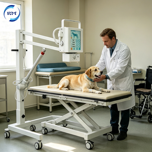 Máquina de Rayos X <span class=keywords><strong>Veterinaria</strong></span> Portátil, Duradera y Estable, para Trabajo Diario de Imágenes en Hospitales Veterinarios - Product Image 3