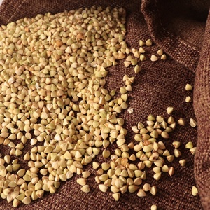 Bán buôn nguyên vỏ màu xanh lá cây kiều mạch không biến đổi gen Kiều Mạch hạt - Product Image 5