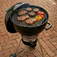 Grille de barbecue en métal robuste EDGELINE - Réglable, facile à nettoyer, multifonctionnelle pour cuisine extérieure et usage commercial, avec bac à cendres