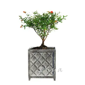 Trelipes clássicos terminados de zinco, encaixas de plantas de metal para uso ao ar livre, vasos e planejadores de flores
