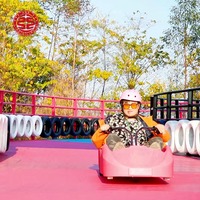 Carros de Luge Económicos para Niños y Adultos, Scooter de Gravedad para Juegos, Equipo de Diversión al Aire Libre, Montaña Rusa de Montaña en Venta
