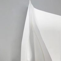 Sac Doypack Biodégradable pour Cosmétiques, Sachet Autoportant pour le Shopping, Sac d'Emballage en Plastique avec Fermeture Zip, Idéal pour les Achats en Gros