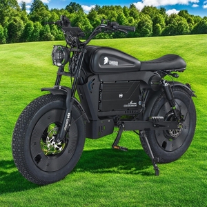 Bicicleta para Adultos SS10 con Motor Trasero de Aluminio Negro de 48V, Batería de Litio de 60AH y Rueda Grande de 20 Pulgadas - Product Image 6