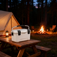 Glacière rigide en plastique 32L, isolée et alimentaire, portable, pour camping, barbecues et fêtes – Vente directe usine OEM