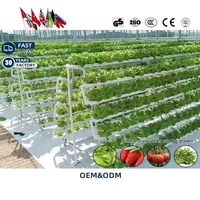 Système hydroponique vertical Simo Large NFT avec pompe, irrigation automatique, haute productivité, couverture en PVC stable et durable