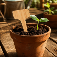 Étiquettes de plantes en PVC imperméables en forme de T, marqueurs de jardin en plastique durables, étiquettes de pépinière réutilisables pour semis, vente en gros