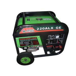 Generador de Soldadura a Gasolina Raise G-Power 220Alx-Ge, 220V 5.5Kw, Portátil con Ruedas para Uso en Exteriores - Product Image 1