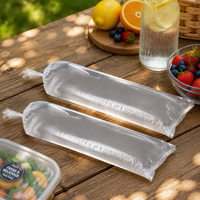 Sacs en plastique thermoscellables de qualité alimentaire LDPE pour l'emballage des glaçons avec impression sérigraphique et poignée en patch pour commandes personnalisées