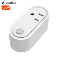 LEDEAST NAS-WR12WM US Standard Tuya WiFi Matter 15A Smart Plug Power Socket Smart Home Smart Outlet Remote Control Switch