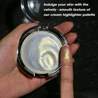 Palette de maquillage visage haute qualité, crème illuminatrice scintillante, vente en gros, étanche, minérale, effet lumineux, marque privée, beauté