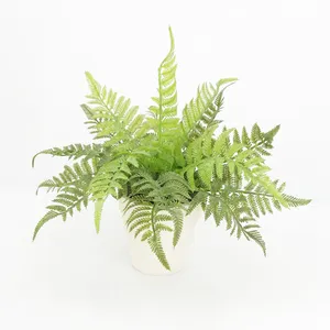 Grüne Laub pflanzen für Haupt tisch dekoration künstlicher Farn verlässt Topfpflanzen Mini-Zimmer pflanzen Großhandel