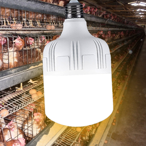 Lámpara para Granja Avícola con Casquillo <span class=keywords><strong>E27</strong></span>, Iluminación para Gallineros, Bombilla para Mejorar la Producción de Huevos - Product Image 2