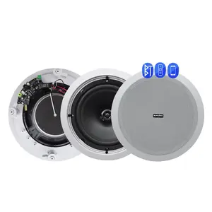 Fashion Active Blue-Tooth Wireless Profession elles Heimkino-Audiosystem Decken lautsprecher