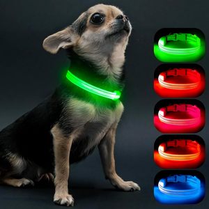 ปลอกคอสุนัขแบบคลาสสิกปรับได้ ไฟ LED ส่องสว่าง วัสดุไนลอนสะท้อนแสง ชาร์จไฟได้ ใช้กลางคืนได้ - Product Image 1