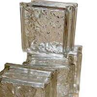 Briques de verre creuses à bord blanc de 50/80 mm d'épaisseur pour cuisine, éclairage LED coloré, éclairage amélioré, usage industriel et médical, solides