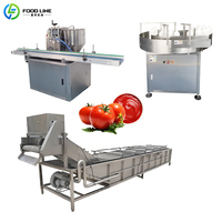 Tomatenpuree-productielijn voor kleine productie