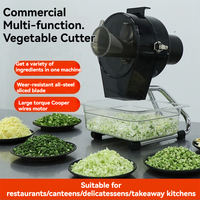 Vinica – Nouvelle machine à trancher et à râper les légumes (pommes de terre, carottes, concombres) pour usage commercial et domestique – Petit coupe-légumes et râpe à gingembre