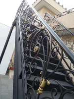 Composants de décoration en fer forgé, 10 pièces, pour la rambarde, panneaux décoratifs en fer forgé pour clôture ou porte