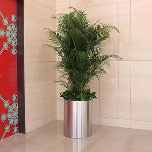 Jardinière en métal argenté de qualité supérieure pour fleurs, décoration intérieure, jardin et design d'intérieur, disponible à prix abordable - Product Image 6