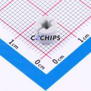 SC505AM1 Switch Accessories / Cap Switch ( Color: Gray ) - Product Image 2