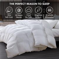 Couette en duvet certifiée RDS OEKO-TEX, 100 % coton, avec système anti-déplacement, légère, toutes saisons, insert de couette de luxe