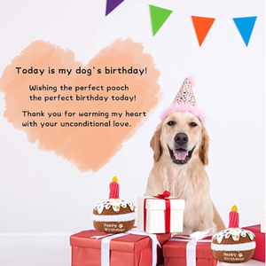 Peluche di lusso cane torta di compleanno giocattolo Pet Squeaky giocattolo con una fragola realizzata in plastica resistente - Product Image 5