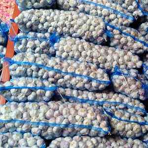 Çin tedarikçiden iyi sağlık için yeni ürün Premium kalite yüksek dereceli saf taze sarımsak - Product Image 1