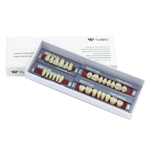 Dientes Acrílicos Neputas para Dentaduras Postizas, Resina Polimérica, Dientes Postizos de Plástico, VTTA A1 B1 <span class=keywords><strong>A2</strong></span> <span class=keywords><strong>B2</strong></span> - Product Image 5