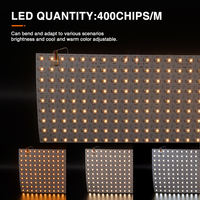 DC24V Control digital RGBW Led Hoja ultrafina colorida para UL Flex LED Retroiluminación Matriz Hojas Cortable OEM ODM
