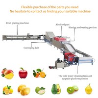 Fushi Citroenverwerkingslijn Oranje Fruitgewicht Sorteermachine/Sorteerdroogmachine
