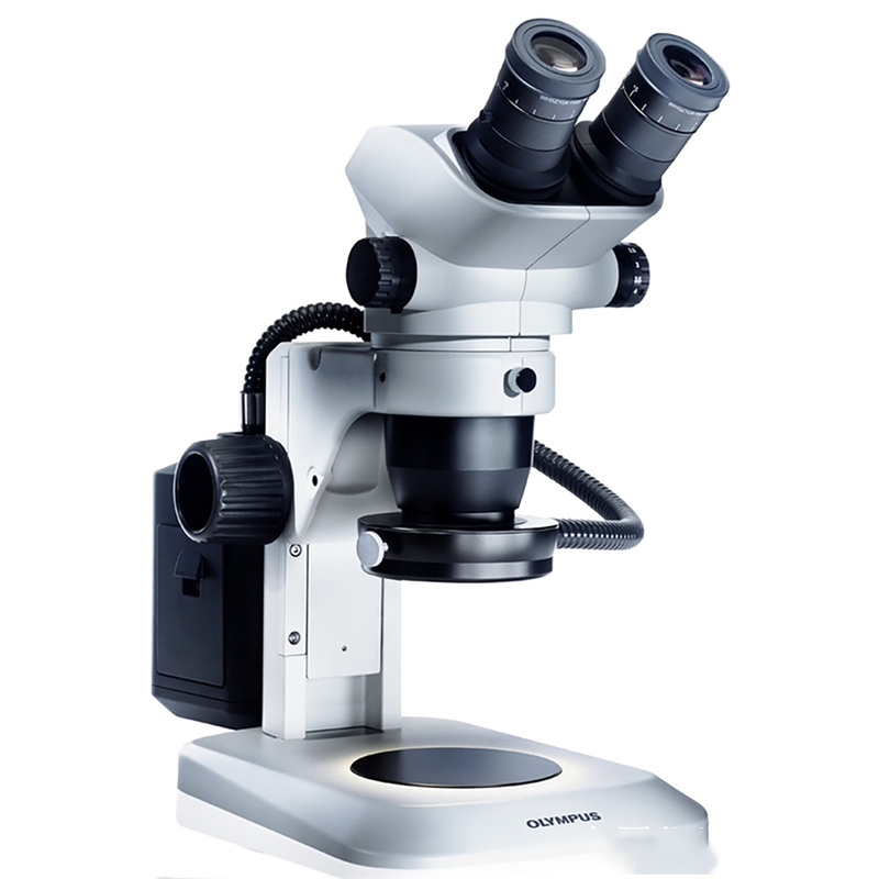 High Quality Optical Instrument Stereo Microscope