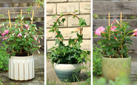 Piquets en treillis en forme de U en bambou naturel pour tomates/pois/concombres, support de plantes de jardin bricolage, piquets de plantes écologiques
