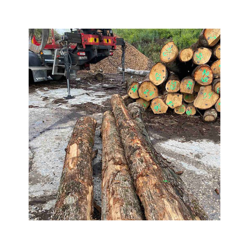 Factory Price Direct Supply Wood Logs For Sale Treated Timber Log Timber Production Line Other Timber