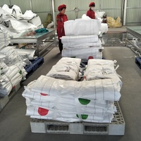 Sac Jumbo Conique de Haute Qualité en Polypropylène de Qualité Alimentaire, Sans Poussière, Prix Usine, 1000 kg, 1 Tonne