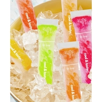 Sacs de congélation personnalisés pour bâtonnets glacés avec fermetures à glissière, pour yaourts et jus faits maison