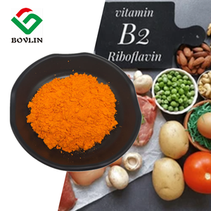 Liposomales <span class=keywords><strong>Vitamin</strong></span> <span class=keywords><strong>B2</strong></span> Pulver Preis 70% Fabriklieferung 2 <span class=keywords><strong>Vitamin</strong></span> <span class=keywords><strong>B2</strong></span> Pulver - Product Image 2