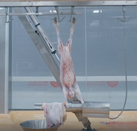 Moteur de pompe pour machine d'abattage de moutons, roulement moteur pour le traitement industriel des moutons adultes, automatique, haute sécurité, complet
