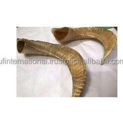 Cuerno de oveja decorativo para el hogar, claxon de color marrón natural, producto de alta calidad, para decoración del hogar - Product Image 4