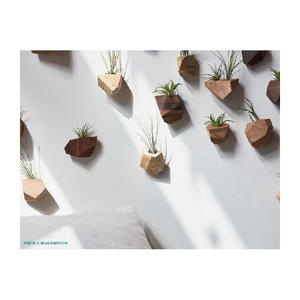 Support de <span class=keywords><strong>plante</strong></span> d'air mural en bois naturel - Product Image 5